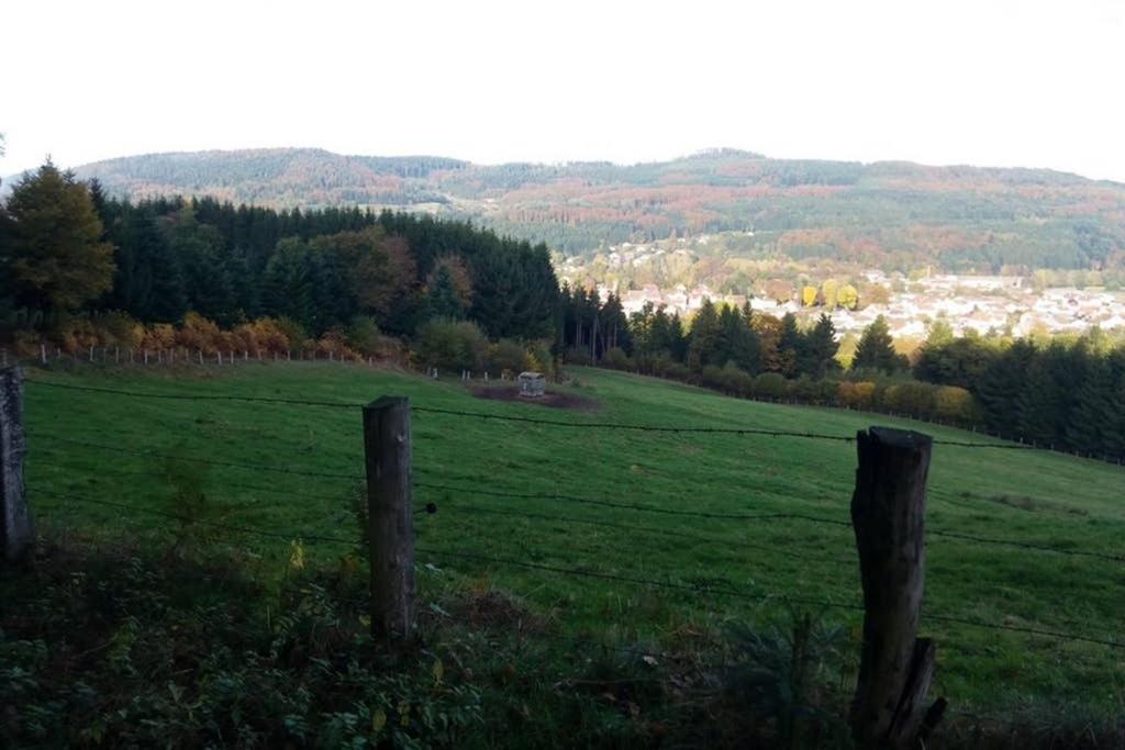 Maison Independ. 6 Personnes A 10 Mn De Gerardmer Granges-sur-Vologne Ngoại thất bức ảnh