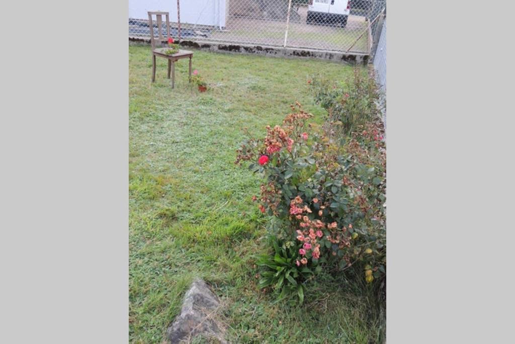 Maison Independ. 6 Personnes A 10 Mn De Gerardmer Granges-sur-Vologne Ngoại thất bức ảnh