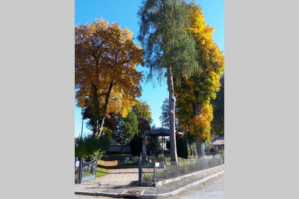 Maison Independ. 6 Personnes A 10 Mn De Gerardmer Granges-sur-Vologne Ngoại thất bức ảnh